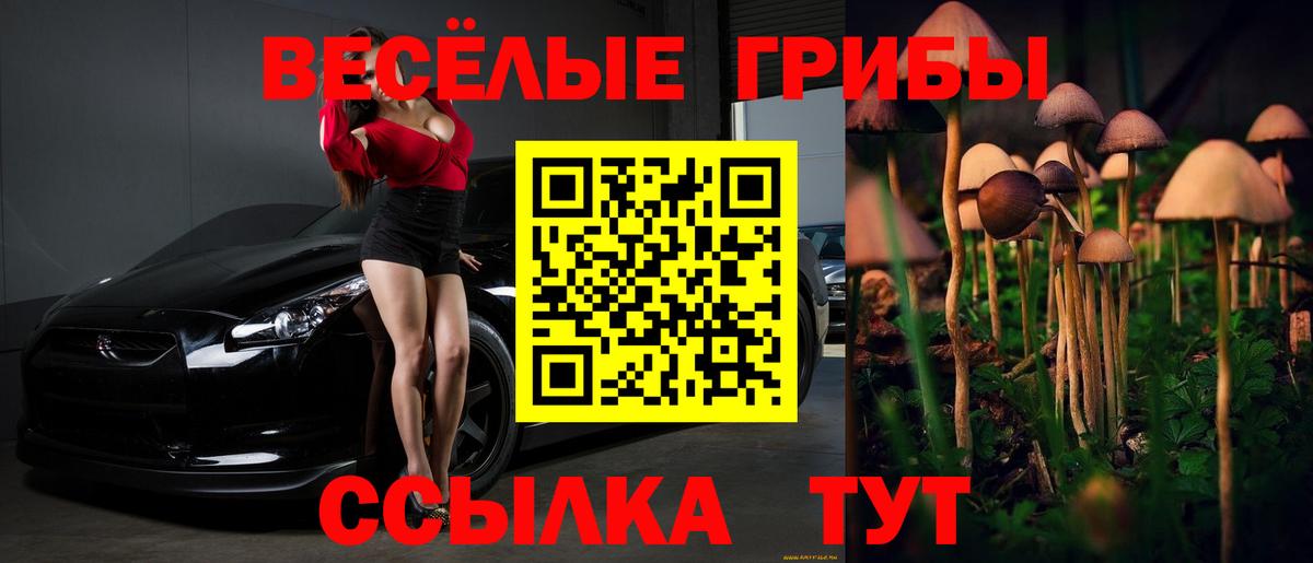 Галлюциногенные грибы MAGIC MUSHROOMS Нижнеудинск