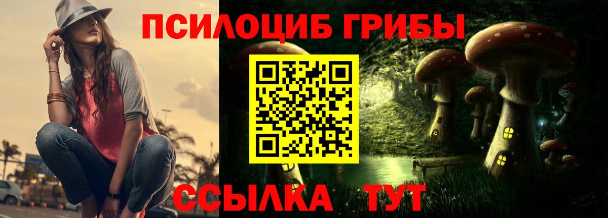 купить наркотики сайты  Вход с VPN  Нижнеудинск  Псилоцибиновые грибы прущие грибы 